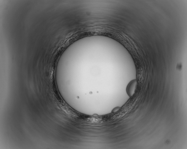 X0000101140660200806270737