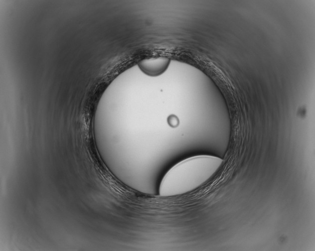 X0000101140661200806270737