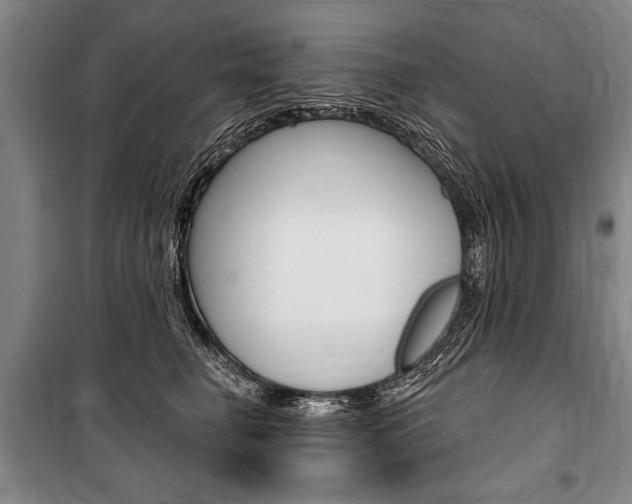 X0000101140662200806270737
