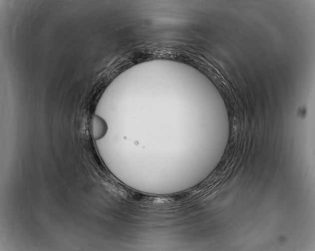 X0000101140663200806270737
