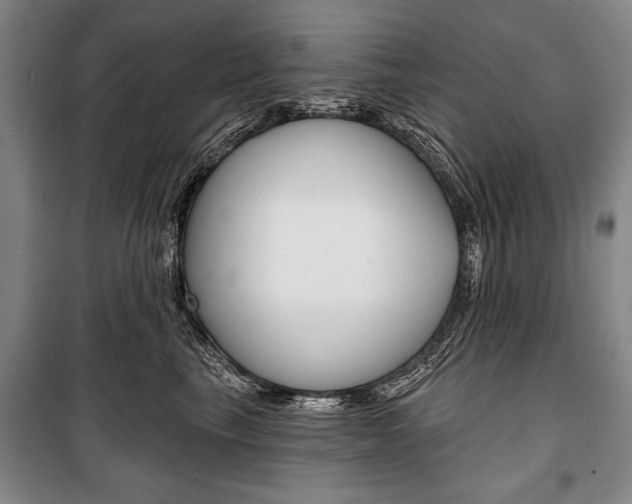X0000101140665200806270737