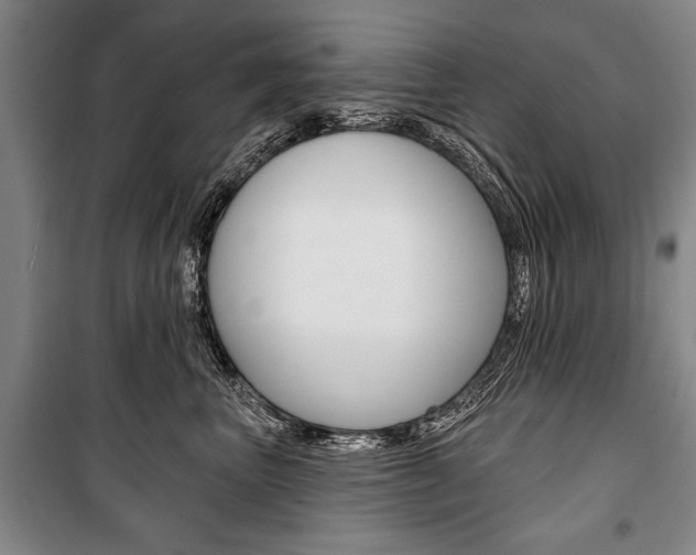 X0000101140667200806270737