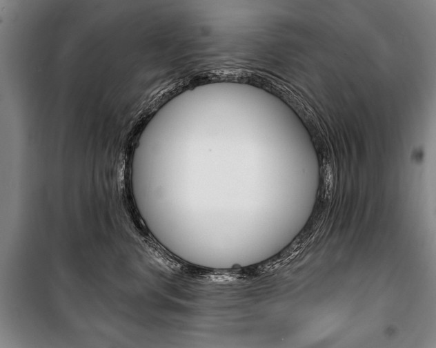 X0000101140668200806270737