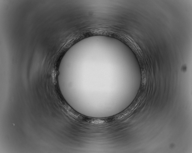 X0000101140669200806270737