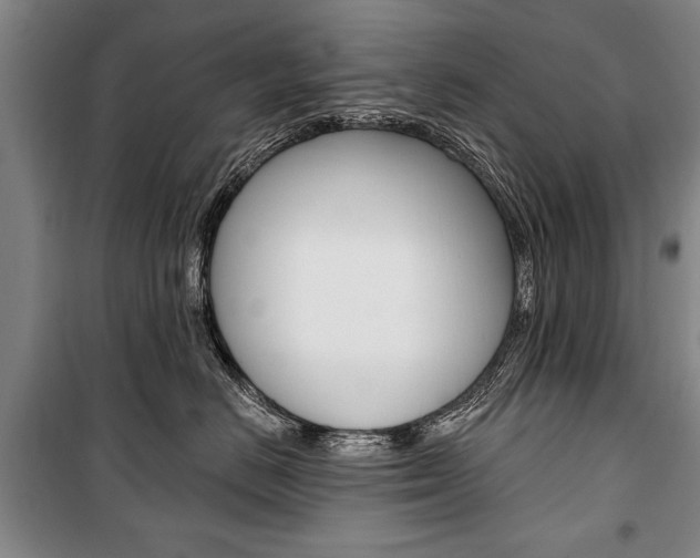 X0000101140670200806270737