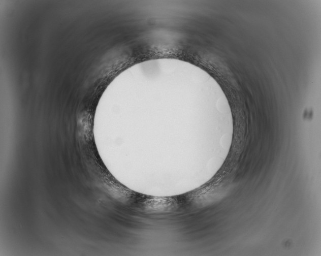 X0000101140672200806270737
