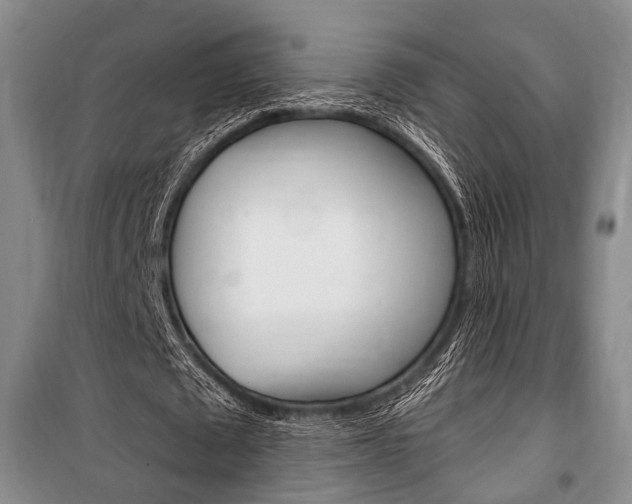 X0000101140673200806270737