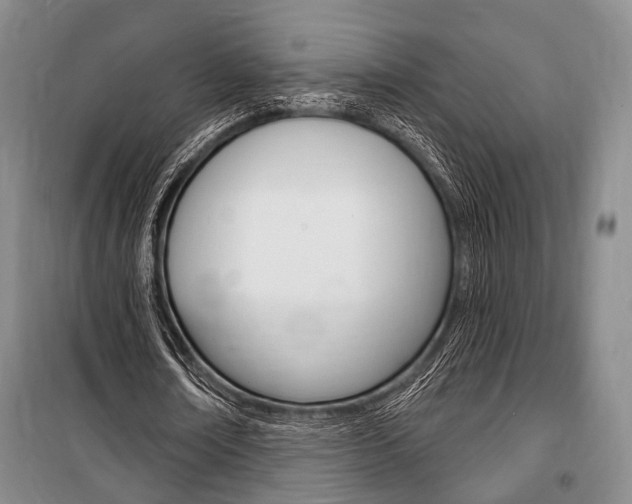 X0000101140674200806270737
