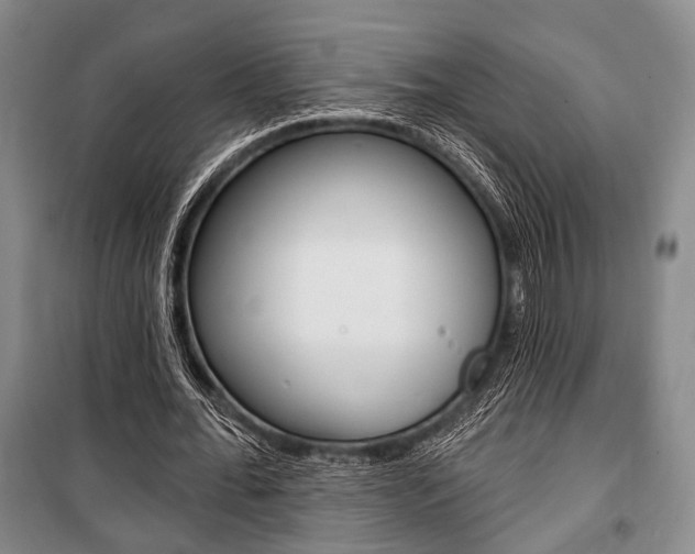 X0000101140676200806270737