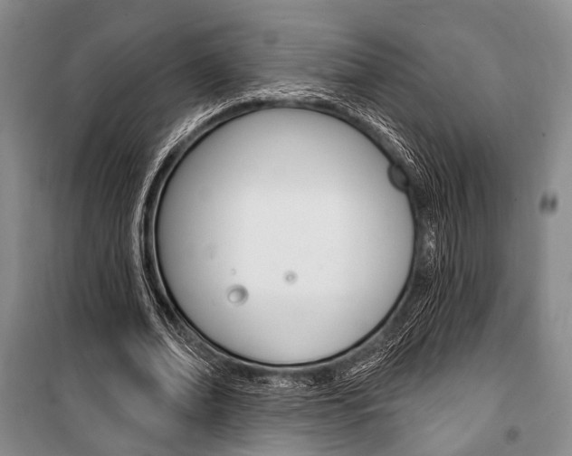 X0000101140678200806270737