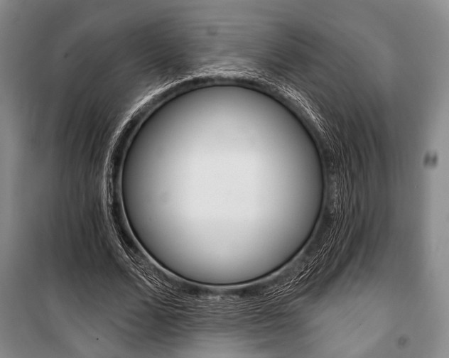 X0000101140680200806270737