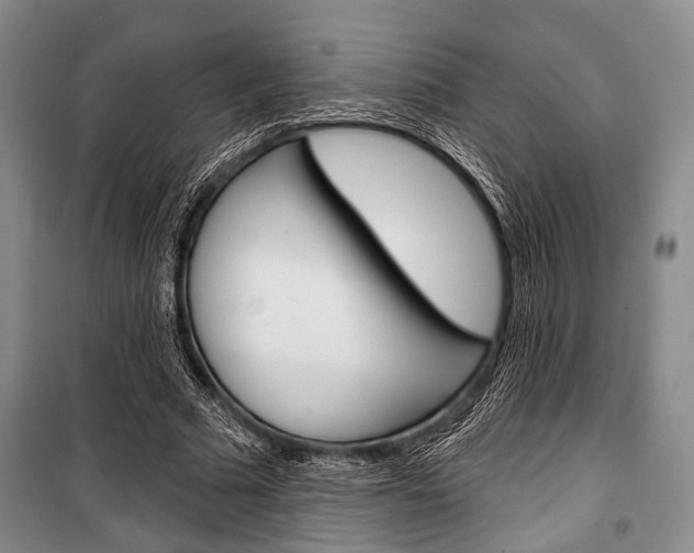 X0000101140681200806270737