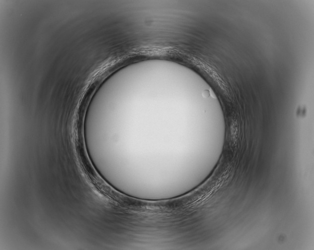X0000101140682200806270737