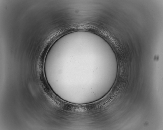X0000101140683200806270737