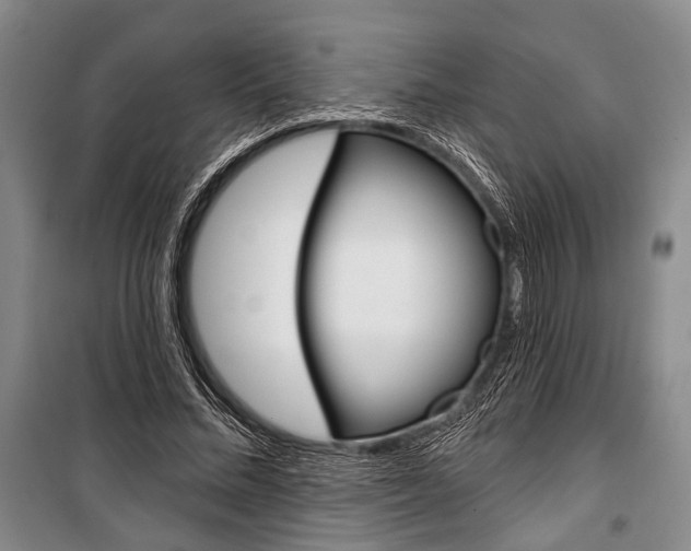 X0000101140684200806270737