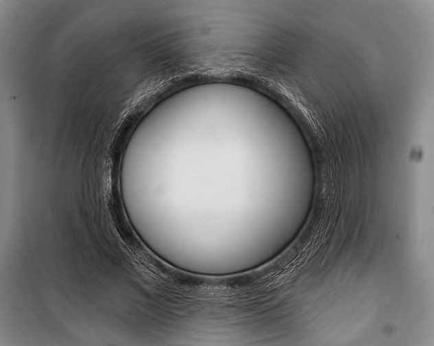 X0000101140685200806270737