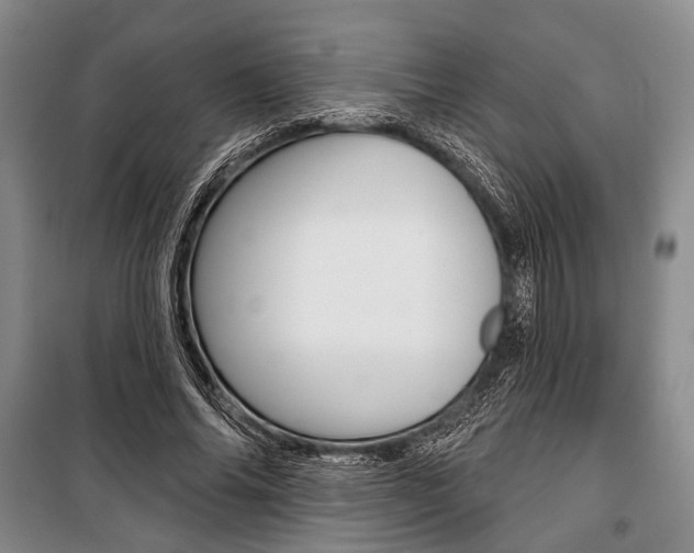 X0000101140686200806270737
