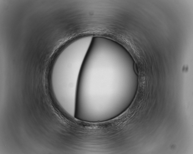 X0000101140688200806270736