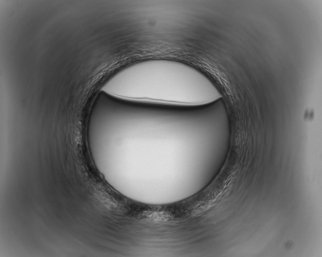 X0000101140689200806270736