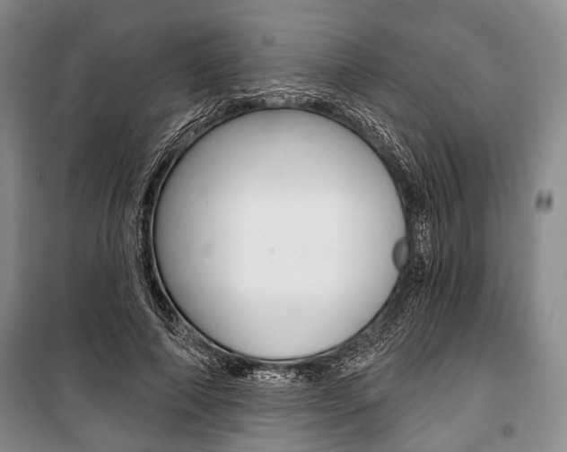 X0000101140690200806270736