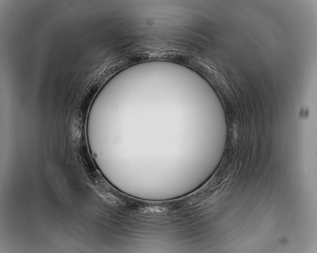 X0000101140691200806270736