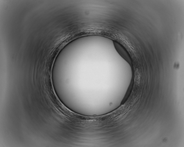 X0000101140692200806270736