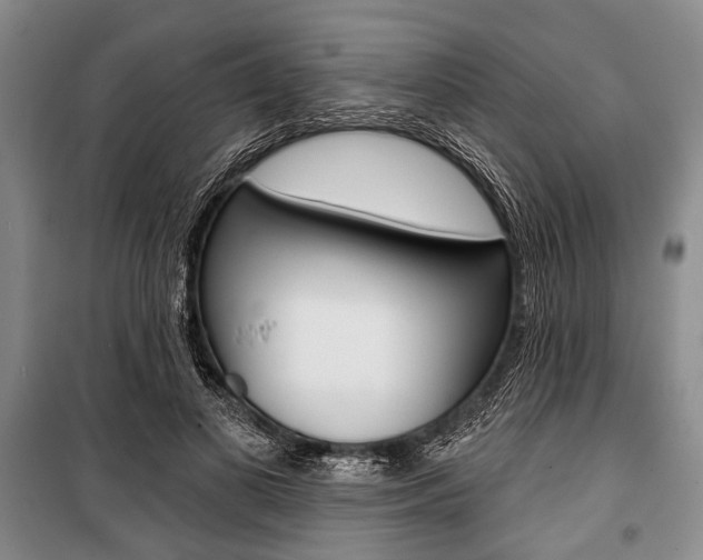 X0000101140693200806270736