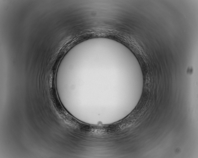 X0000101140694200806270736