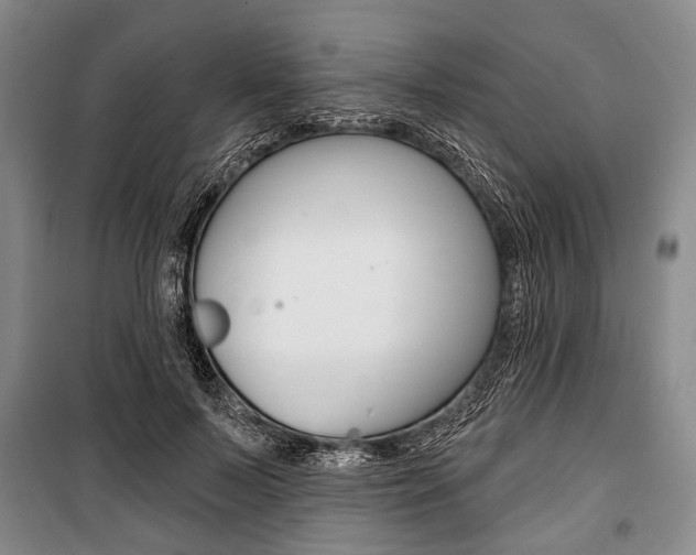 X0000101140695200806270736