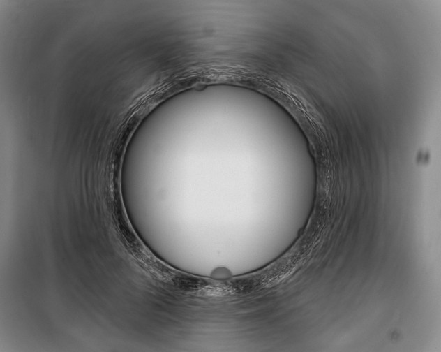 X0000101140696200806270736
