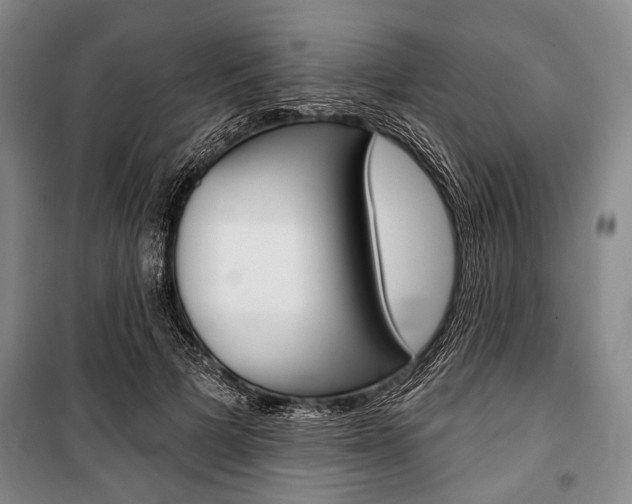 X0000101140697200806270736