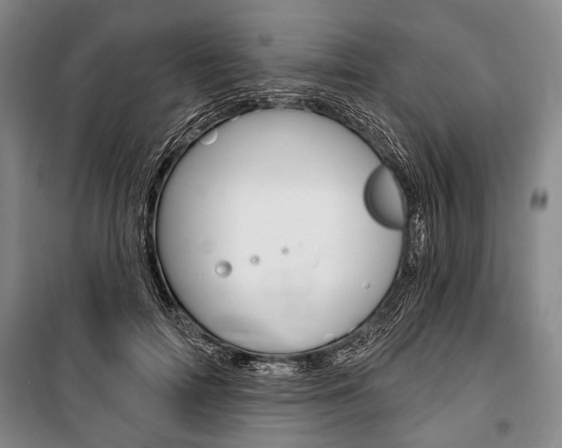 X0000101140698200806270736