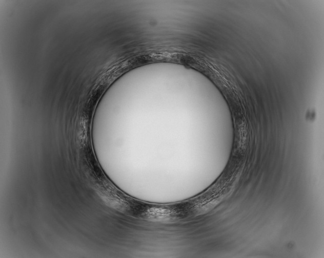 X0000101140699200806270736