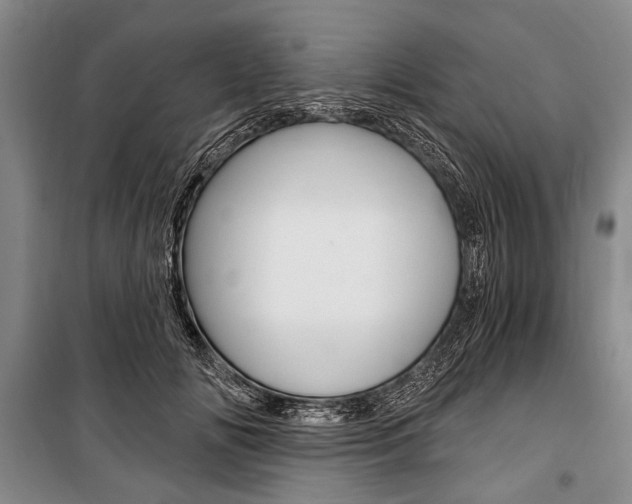 X0000101140702200806270736