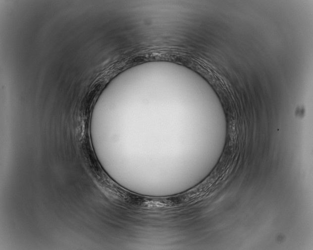 X0000101140703200806270736