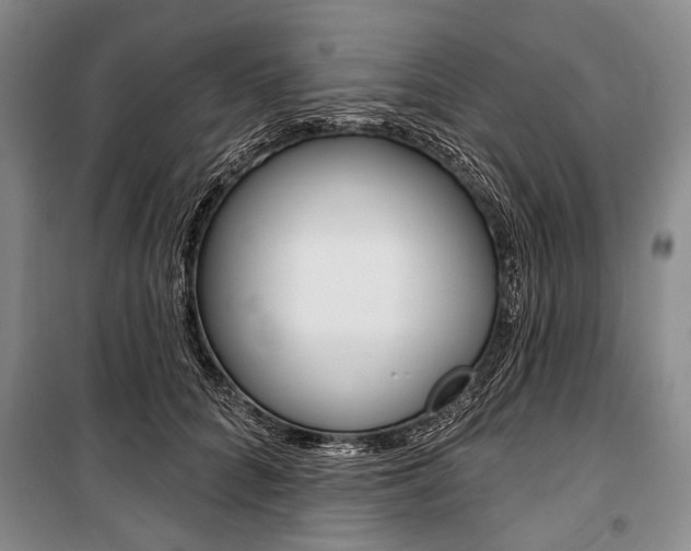 X0000101140704200806270736