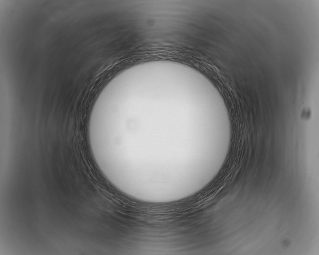 X0000101140705200806270736