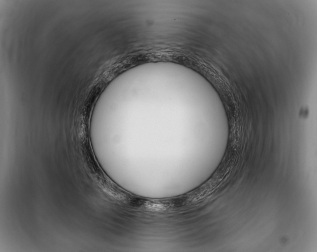 X0000101140706200806270736