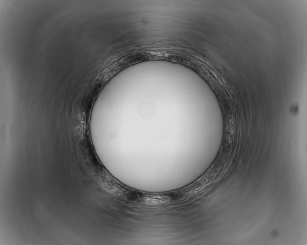 X0000101140707200806270736
