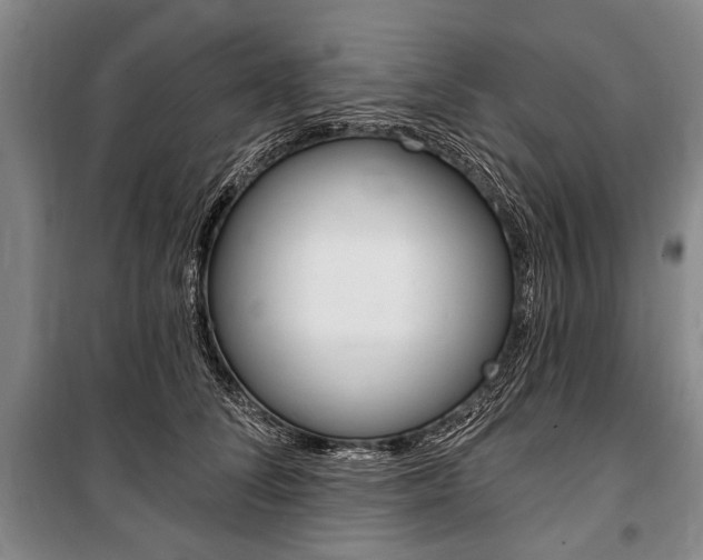 X0000101140708200806270736