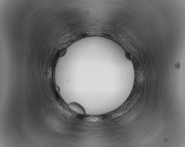 X0000101140711200806270736