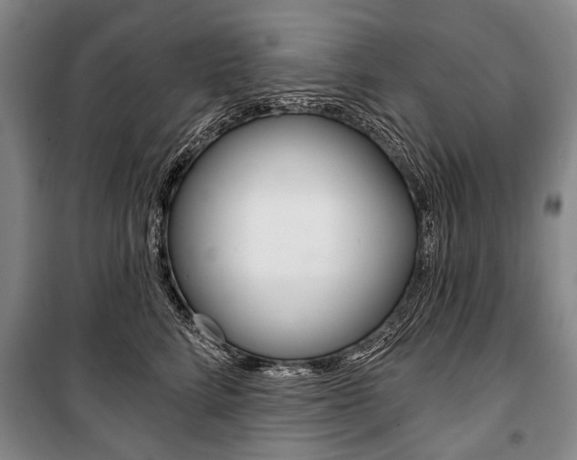 X0000101140712200806270736