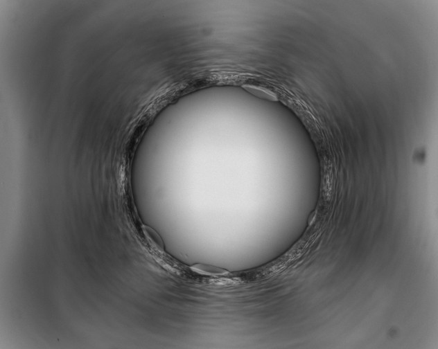 X0000101140716200806270736