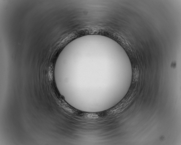 X0000101140719200806270736
