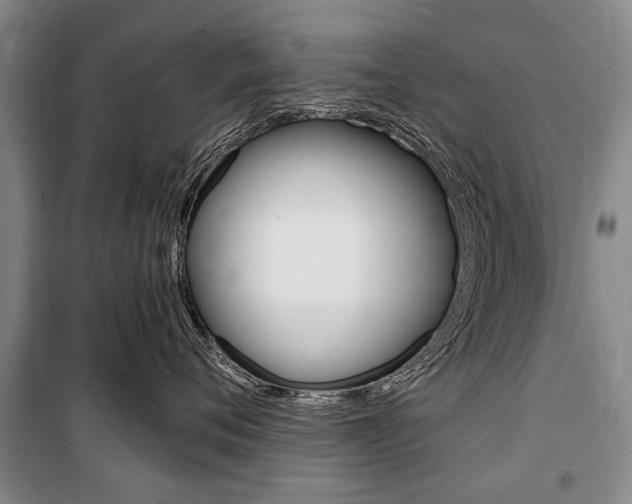 X0000101140720200806270736