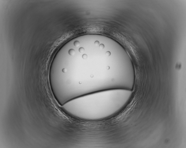 X0000101140721200806270735