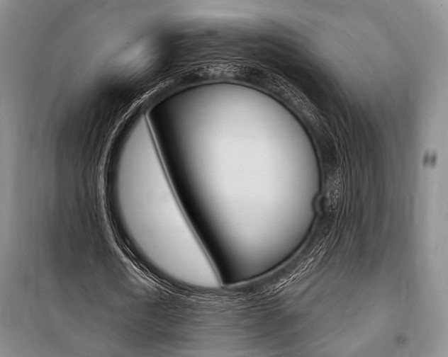 X0000101140722200806270735