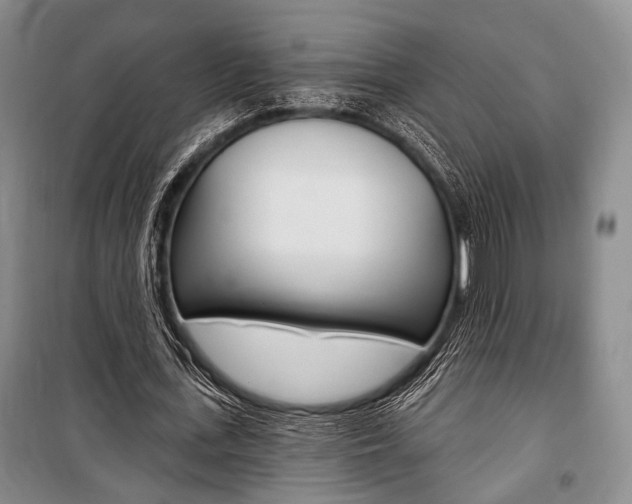 X0000101140723200806270735