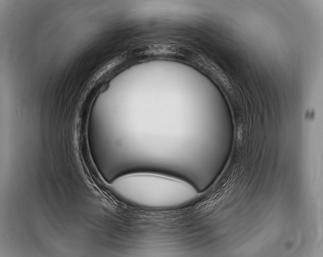 X0000101140724200806270735