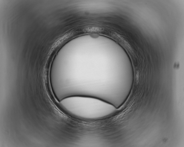 X0000101140725200806270735